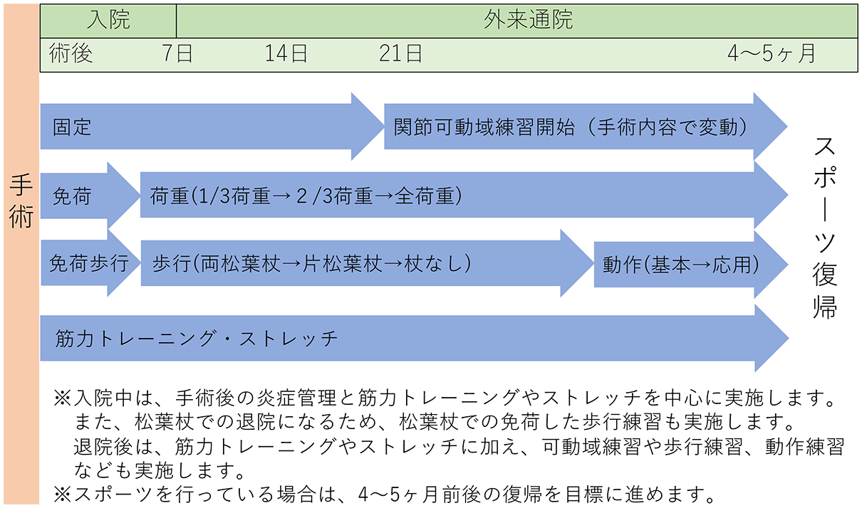 図4 半月板縫合術後のリハビリテーションの流れ