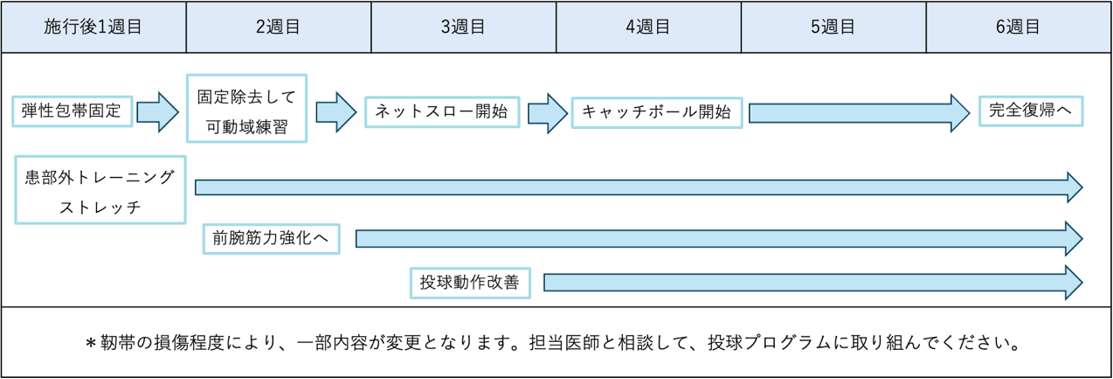 PRP注入後の投球プログラム