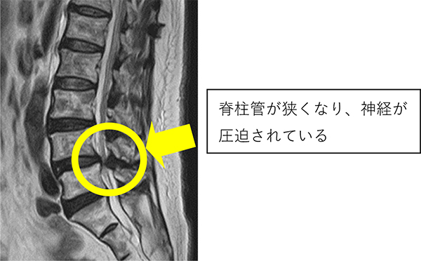 慶友脊椎内視鏡センター 慶友会