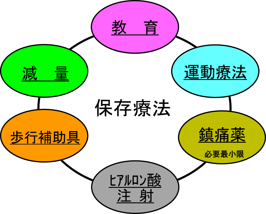 図2. 変形性膝関節症の保存療法